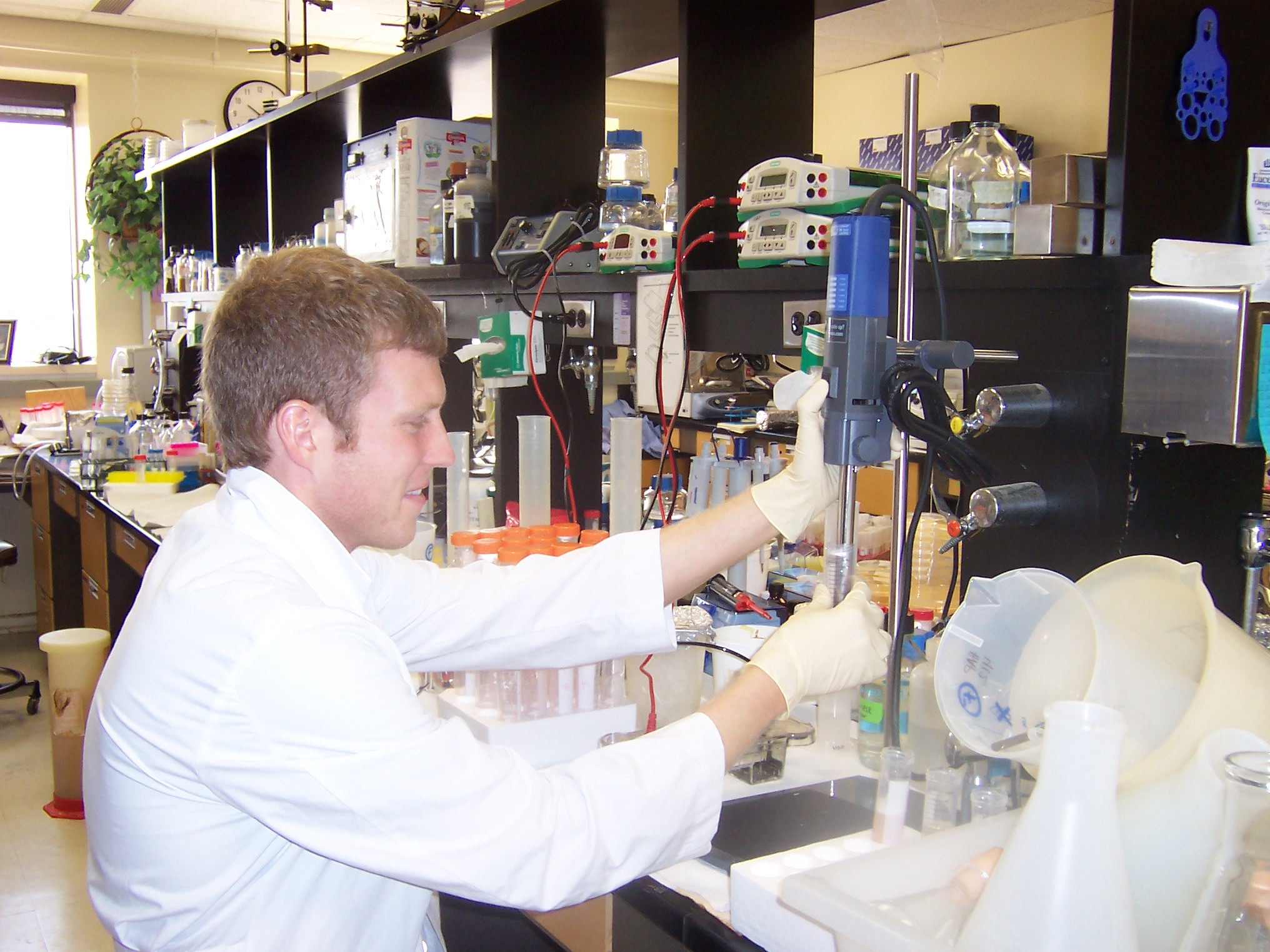 Tamu Lab Injection Home | Veterinary Scholars Program